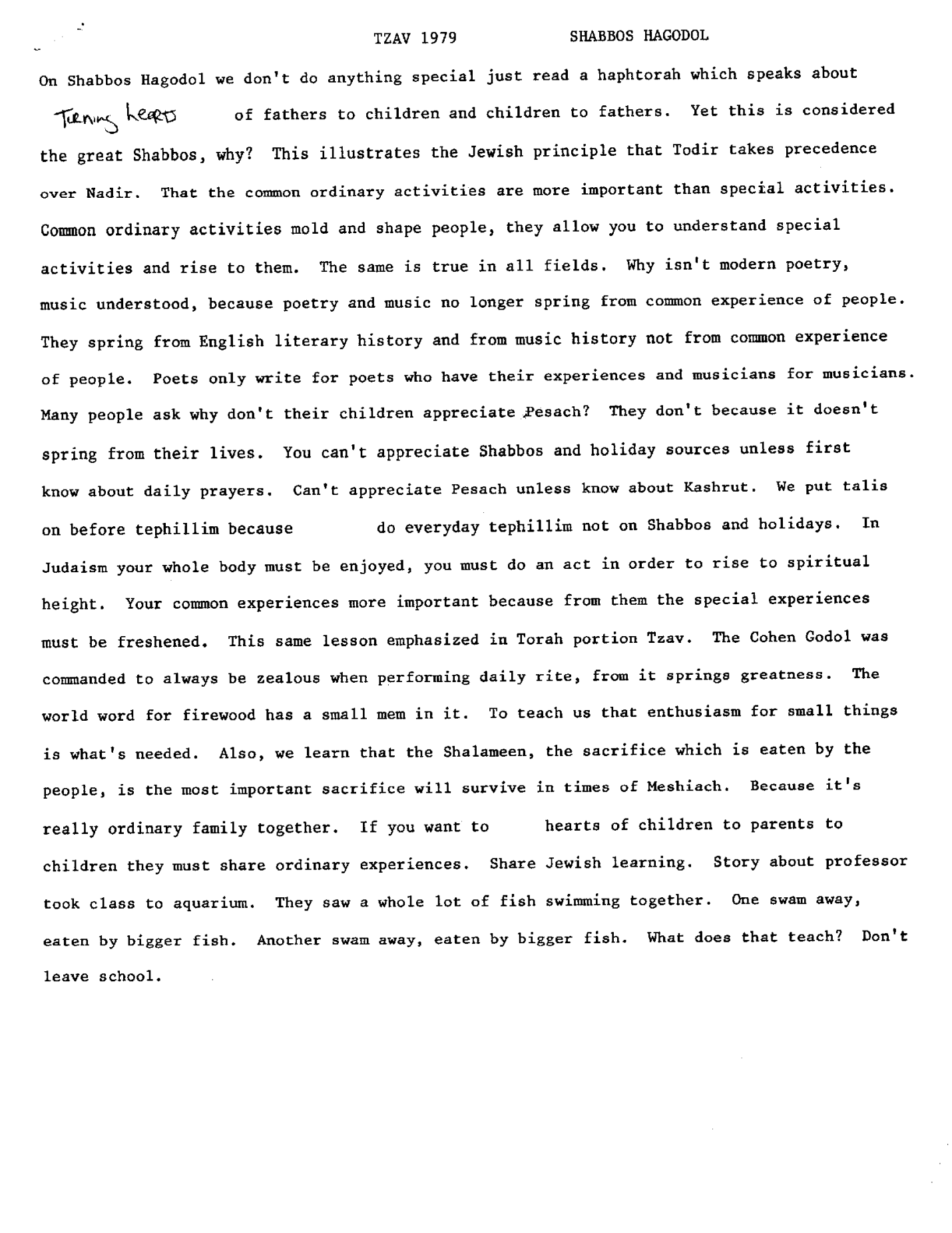 tzav 1979